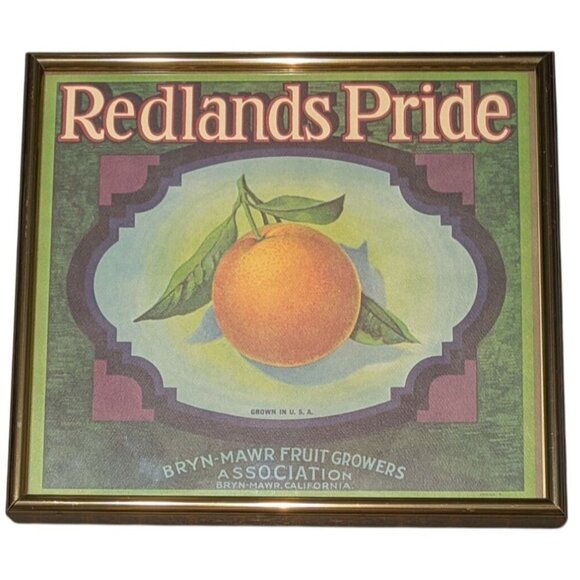 Redlands Pride Fruit Crate Art Print Gold colored metal Frame kitchen - Picture 4 of 7